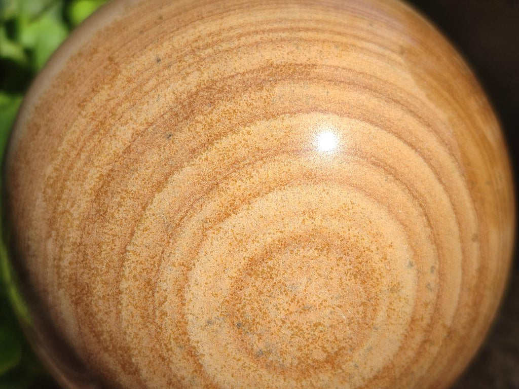 Polished Large Picture Stone Jasper Spheres x 2 From Namibia - Toprock Gemstones and Minerals 