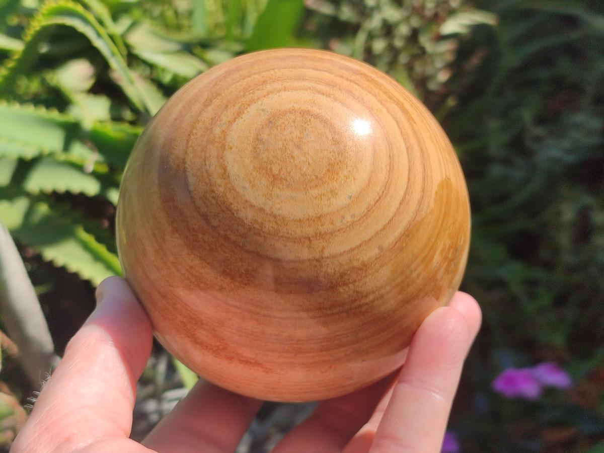 Polished Large Picture Stone Jasper Spheres x 2 From Namibia - Toprock Gemstones and Minerals 