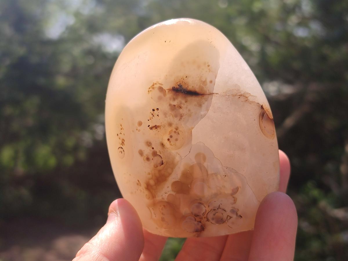 Polished and Natural Dendritic Agate Standing Display Pieces x 6 From Moralambo, Madagascar - Toprock Gemstones and Minerals 