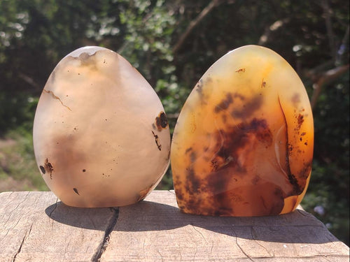 Polished and Natural Dendritic Agate Standing Display Pieces x 6 From Moralambo, Madagascar - Toprock Gemstones and Minerals 