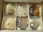 Polished and Natural Dendritic Agate Standing Display Pieces x 6 From Moralambo, Madagascar - Toprock Gemstones and Minerals 