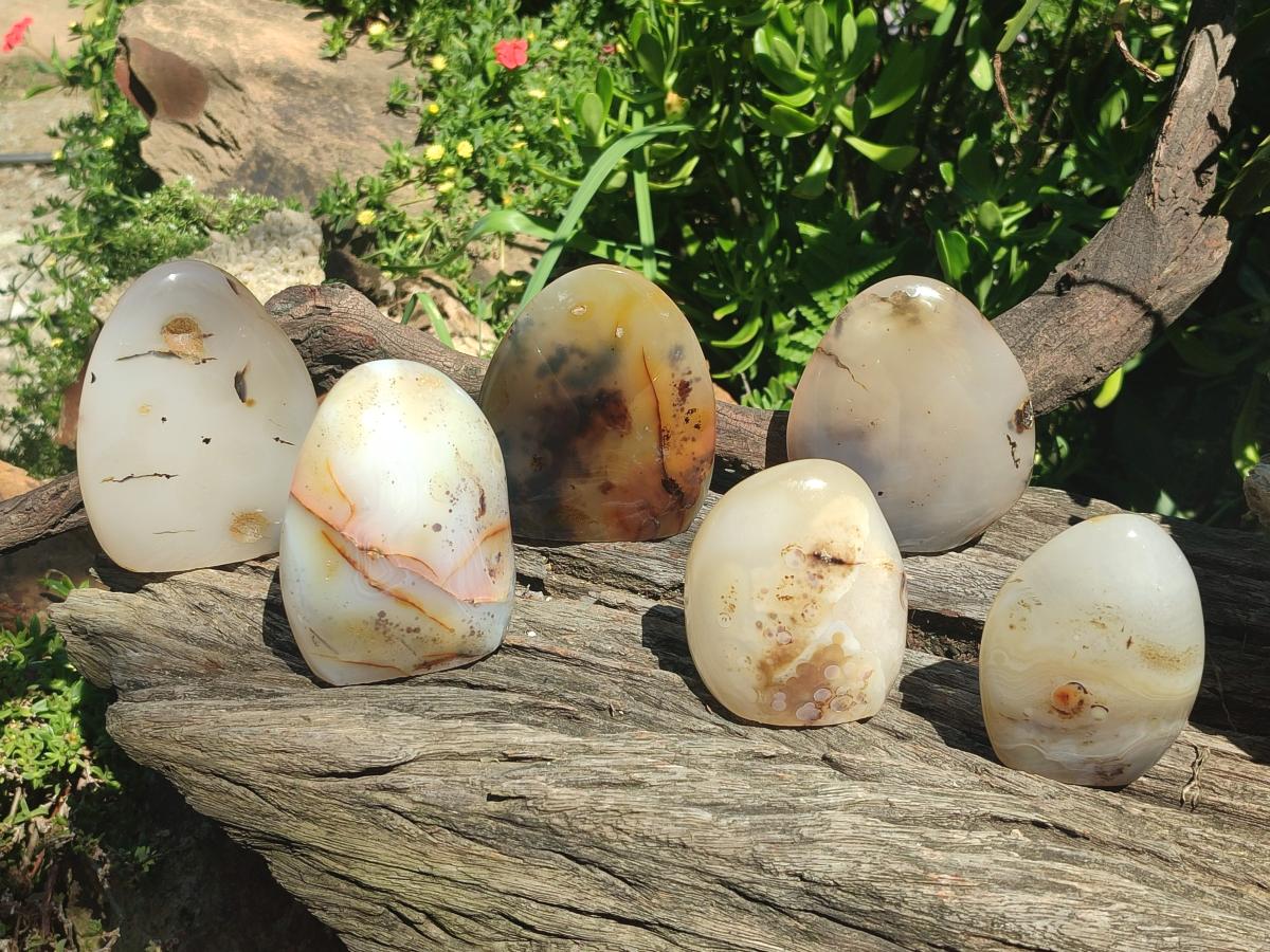 Polished and Natural Dendritic Agate Standing Display Pieces x 6 From Moralambo, Madagascar - Toprock Gemstones and Minerals 