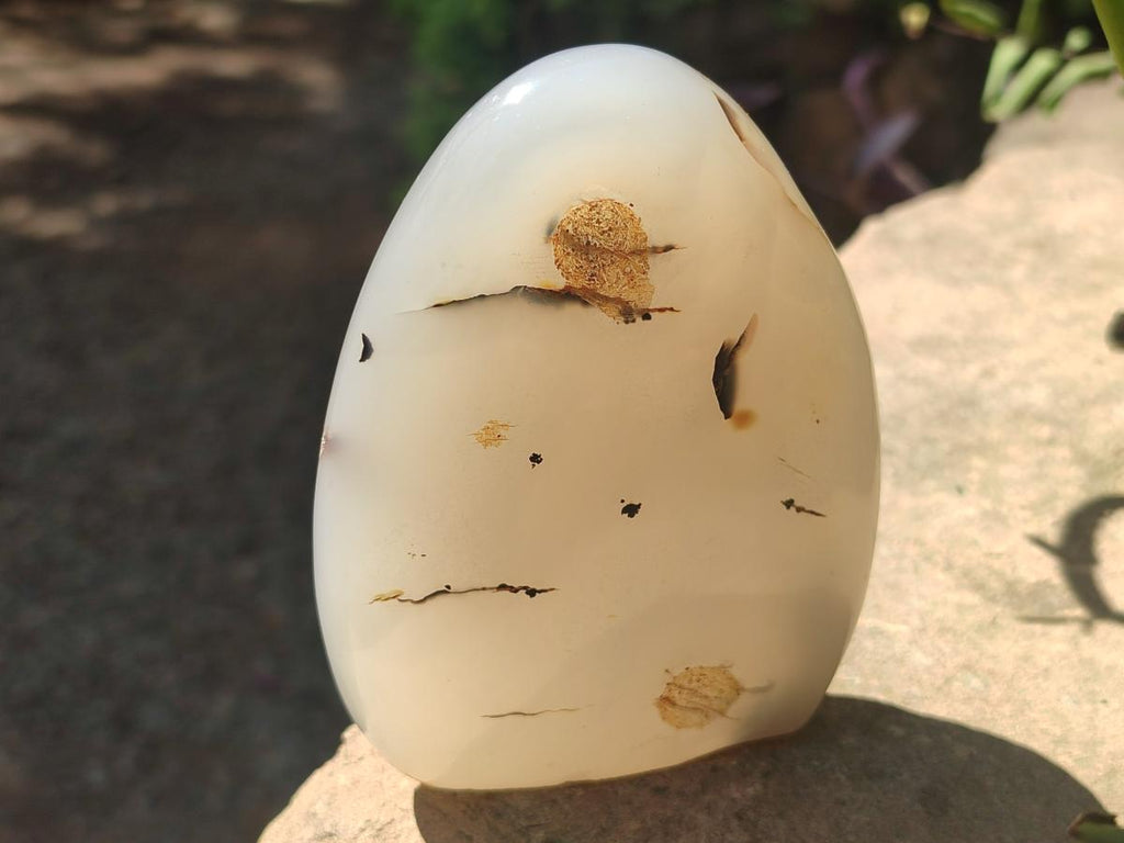 Polished and Natural Dendritic Agate Standing Display Pieces x 6 From Moralambo, Madagascar - Toprock Gemstones and Minerals 