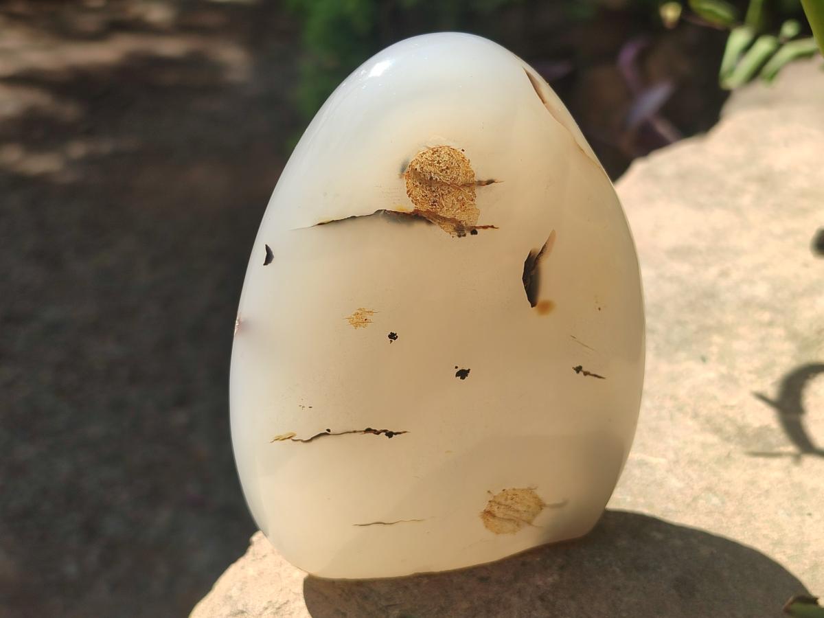 Polished and Natural Dendritic Agate Standing Display Pieces x 6 From Moralambo, Madagascar - Toprock Gemstones and Minerals 