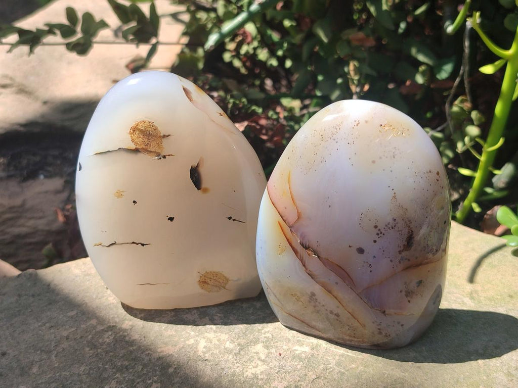 Polished and Natural Dendritic Agate Standing Display Pieces x 6 From Moralambo, Madagascar - Toprock Gemstones and Minerals 