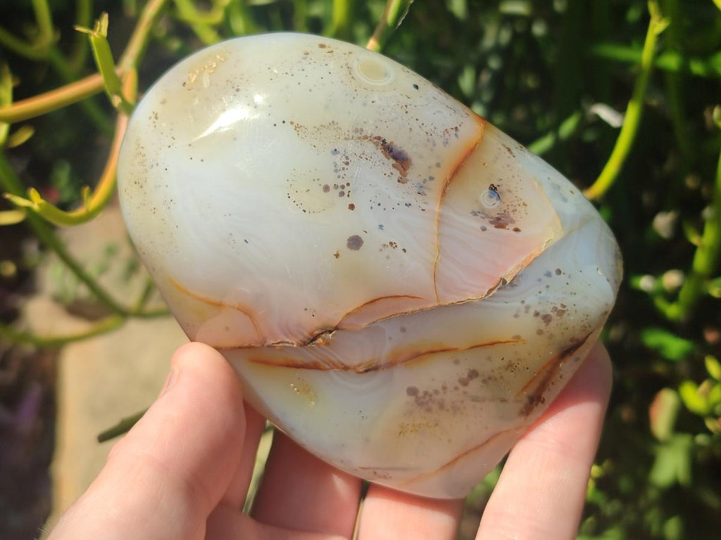 Polished and Natural Dendritic Agate Standing Display Pieces x 6 From Moralambo, Madagascar - Toprock Gemstones and Minerals 