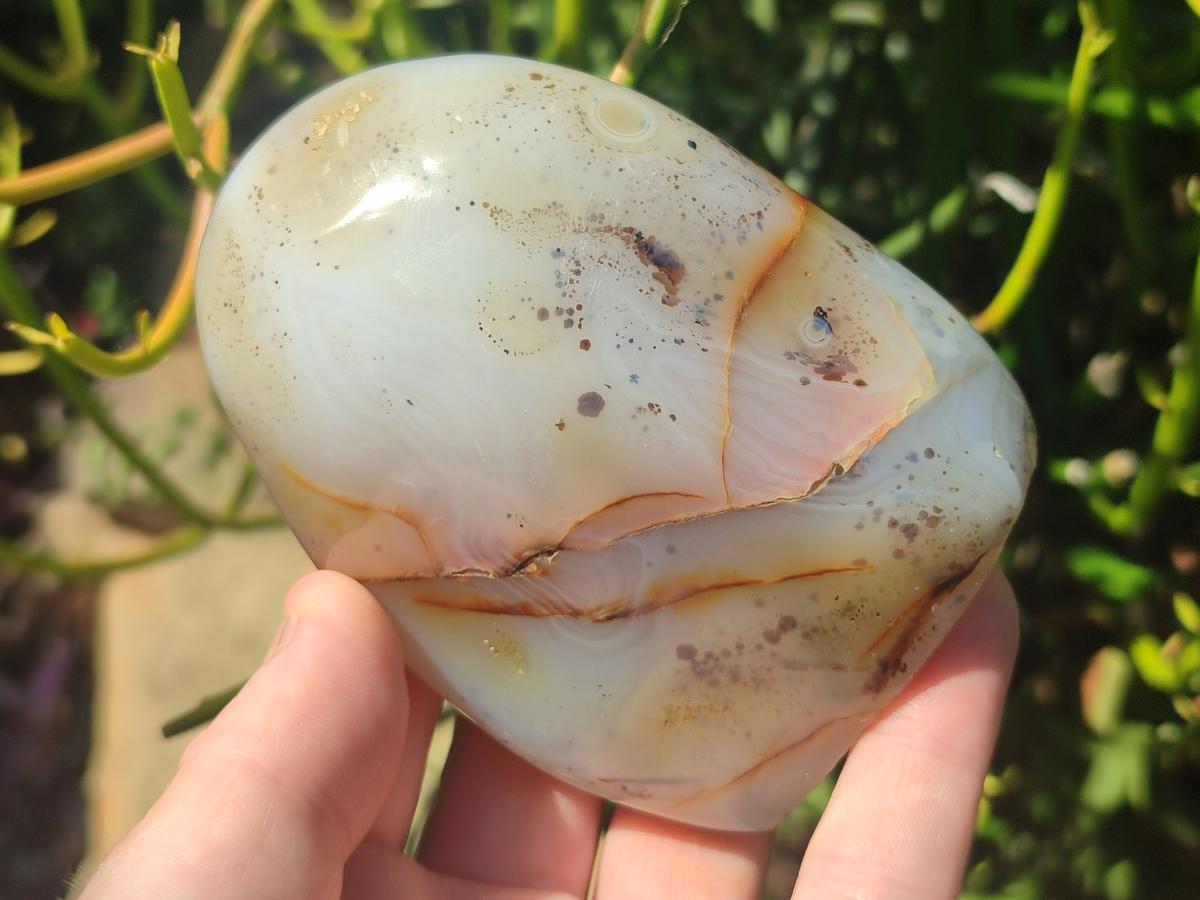 Polished and Natural Dendritic Agate Standing Display Pieces x 6 From Moralambo, Madagascar - Toprock Gemstones and Minerals 