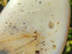 Polished and Natural Dendritic Agate Standing Display Pieces x 6 From Moralambo, Madagascar - Toprock Gemstones and Minerals 