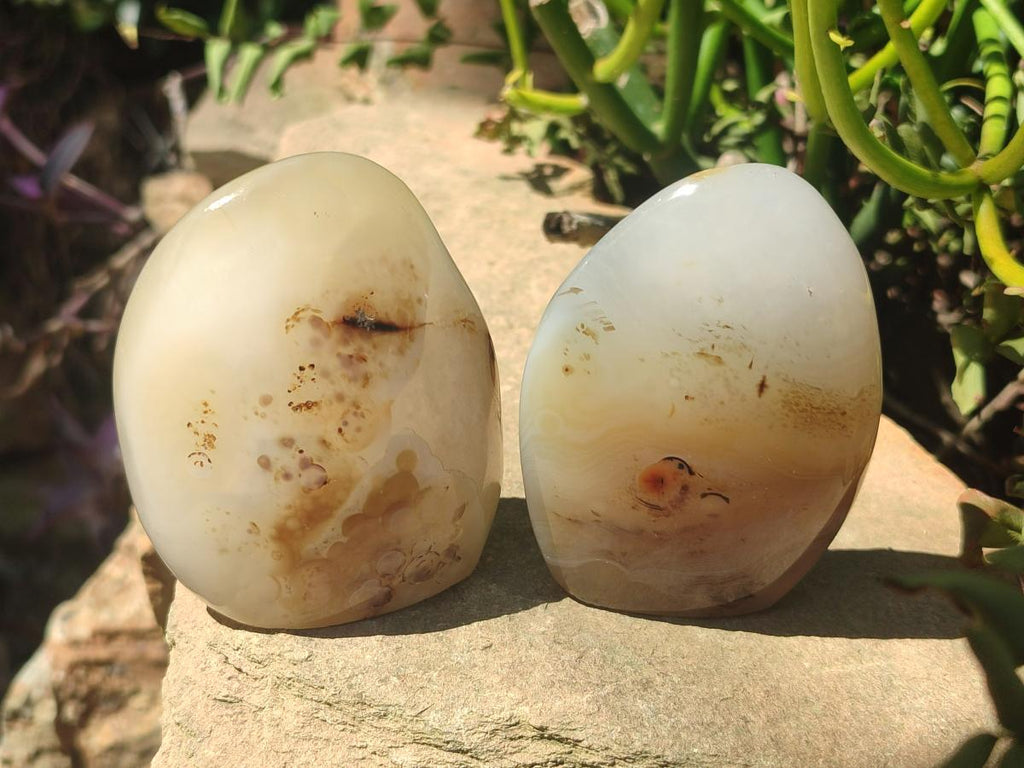 Polished and Natural Dendritic Agate Standing Display Pieces x 6 From Moralambo, Madagascar - Toprock Gemstones and Minerals 