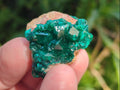 Natural Dioptase Specimens on Dolomite Matrix x 20 From Tantara Mine, Congo - Toprock Gemstones and Minerals 