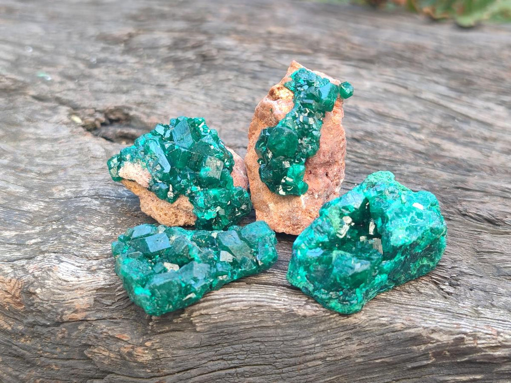 Natural Dioptase Specimens on Dolomite Matrix x 20 From Tantara Mine, Congo - Toprock Gemstones and Minerals 