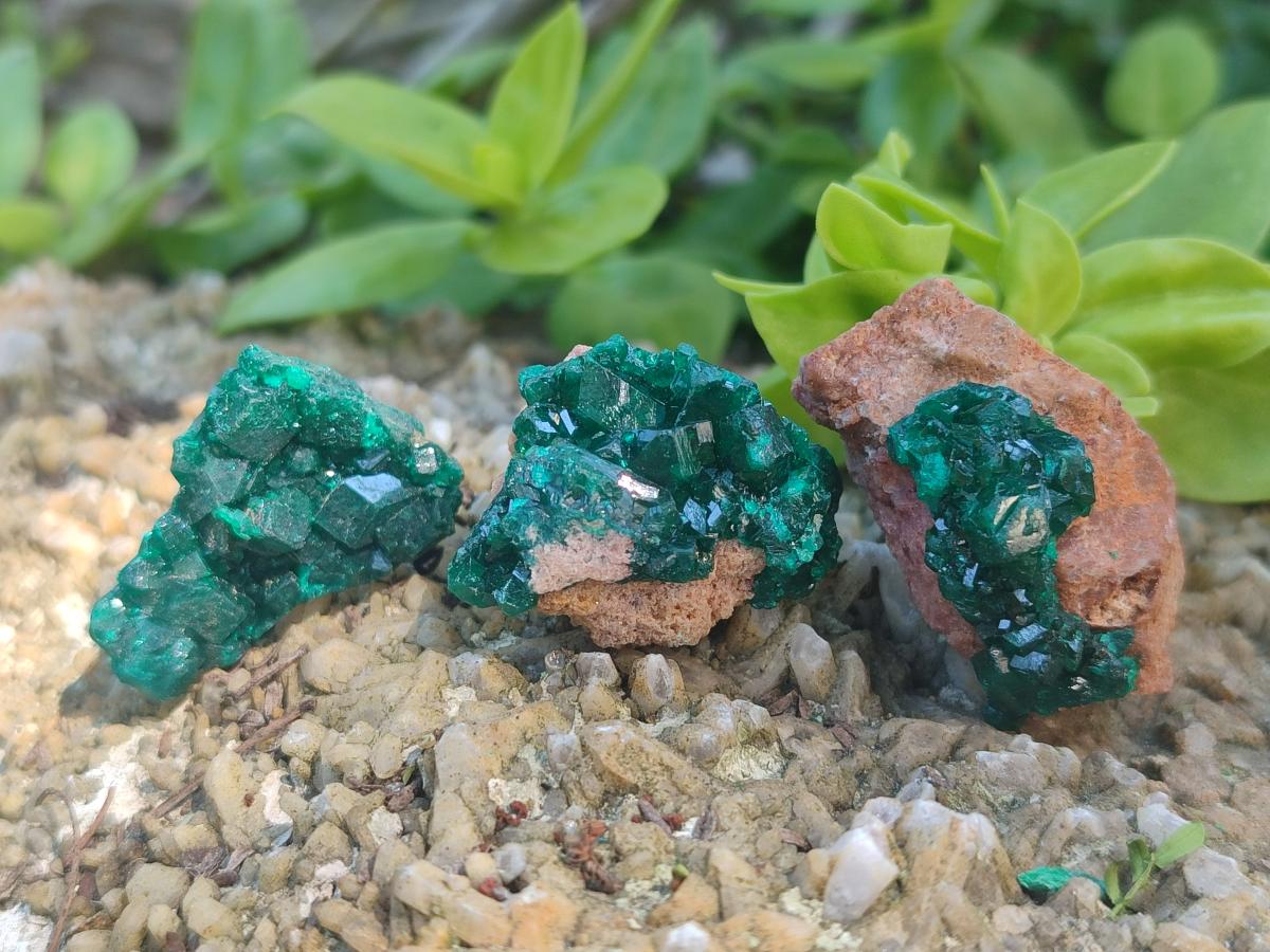 Natural Dioptase Specimens on Dolomite Matrix x 20 From Tantara Mine, Congo - Toprock Gemstones and Minerals 