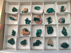 Natural Dioptase Specimens on Dolomite Matrix x 20 From Tantara Mine, Congo - Toprock Gemstones and Minerals 