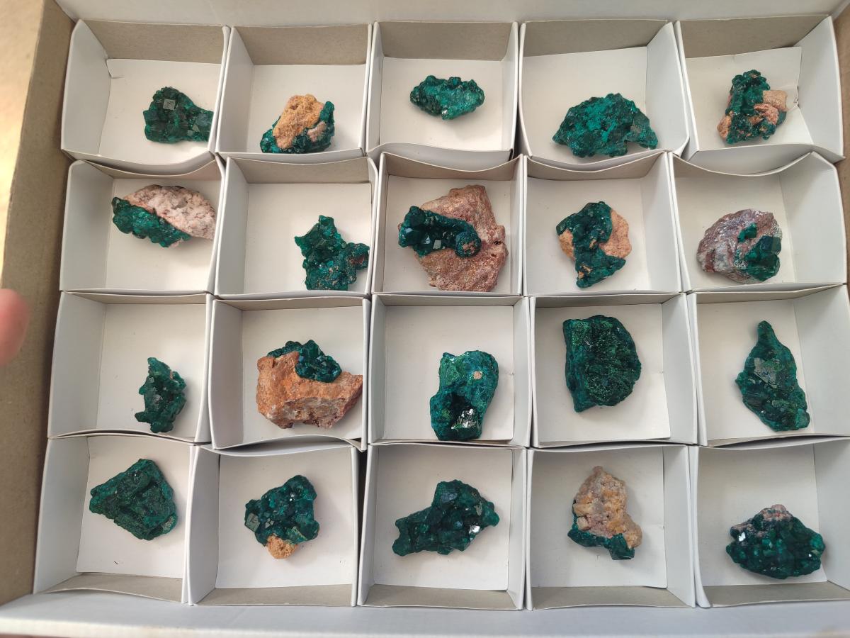 Natural Dioptase Specimens on Dolomite Matrix x 20 From Tantara Mine, Congo - Toprock Gemstones and Minerals 