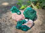 Natural Dioptase Specimens on Dolomite Matrix x 20 From Tantara Mine, Congo - Toprock Gemstones and Minerals 
