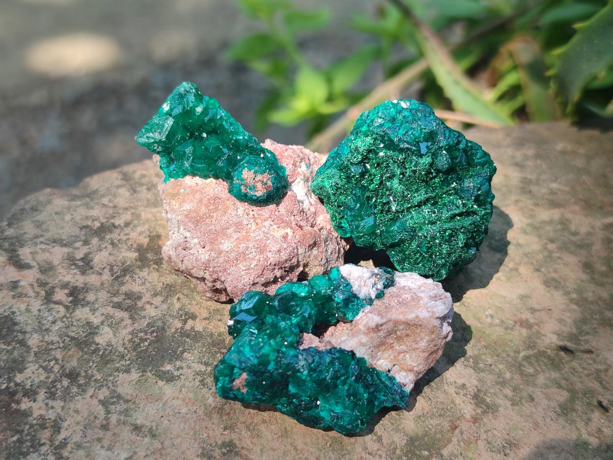 Natural Dioptase Specimens on Dolomite Matrix x 20 From Tantara Mine, Congo - Toprock Gemstones and Minerals 