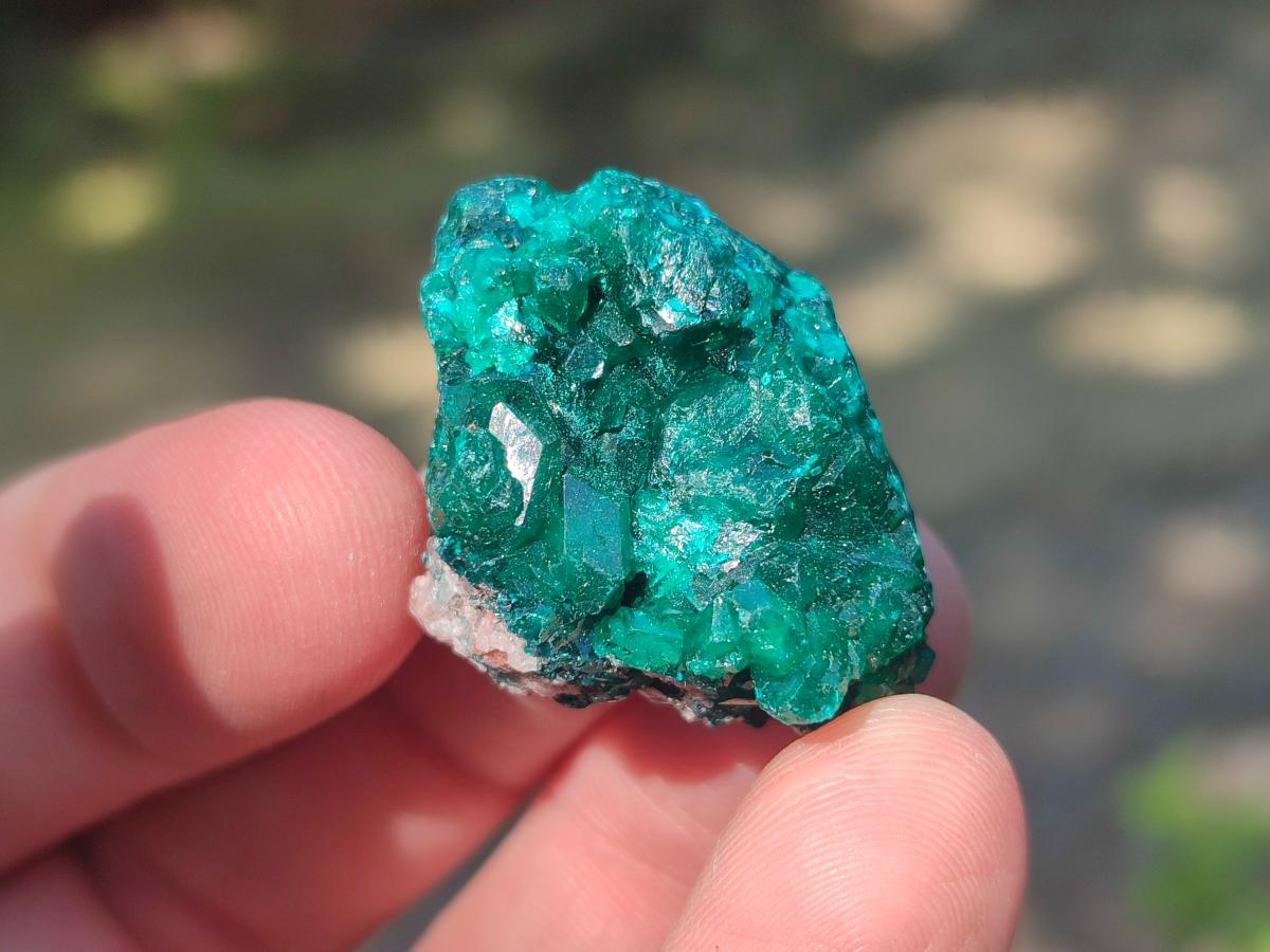Natural Dioptase Specimens on Dolomite Matrix x 20 From Tantara Mine, Congo - Toprock Gemstones and Minerals 