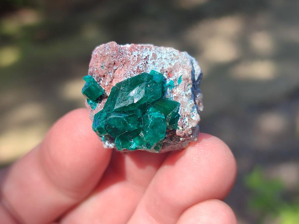 Natural Dioptase Specimens on Dolomite Matrix x 20 From Tantara Mine, Congo - Toprock Gemstones and Minerals 