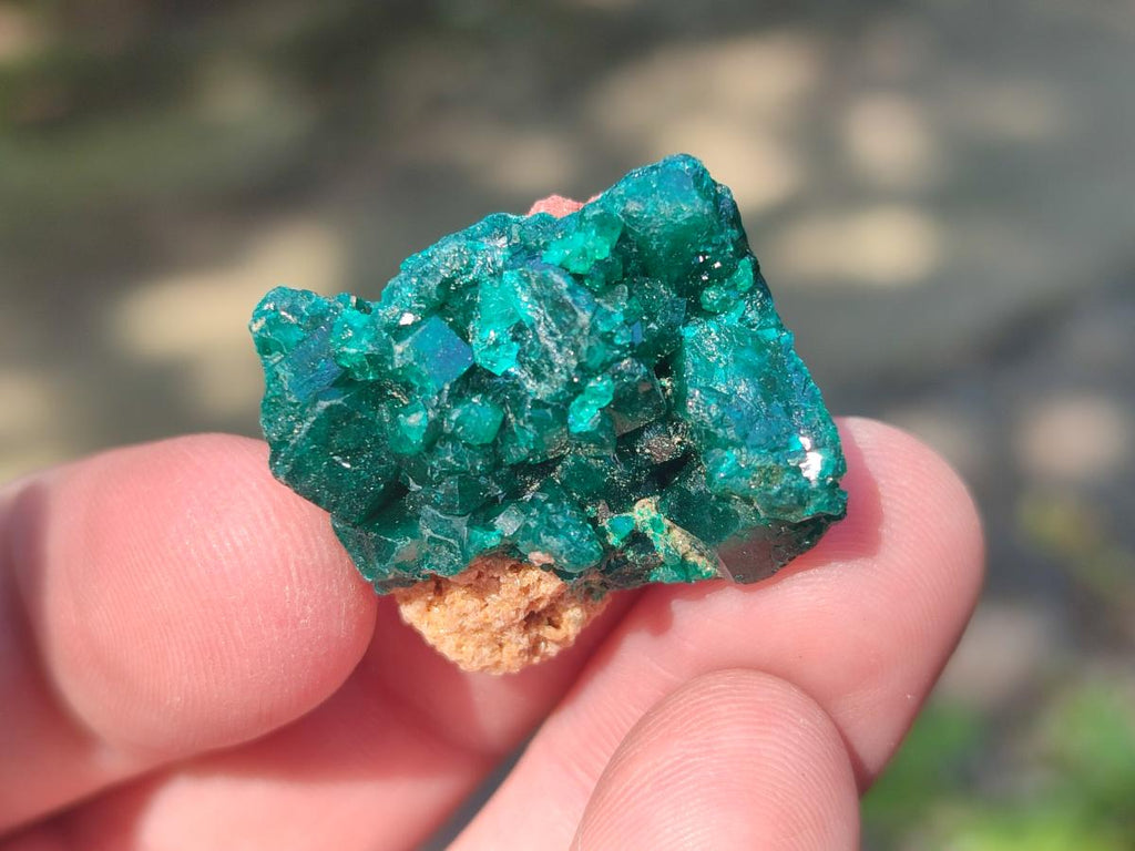 Natural Dioptase Specimens on Dolomite Matrix x 20 From Tantara Mine, Congo - Toprock Gemstones and Minerals 