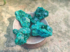 Natural Dioptase Specimens on Dolomite Matrix x 20 From Tantara Mine, Congo - Toprock Gemstones and Minerals 