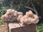 Natural Large Cascading White Phantom Pearly Clear Smokey Luena Quartz Clusters x 2 From Luena, Congo - Toprock Gemstones and Minerals 
