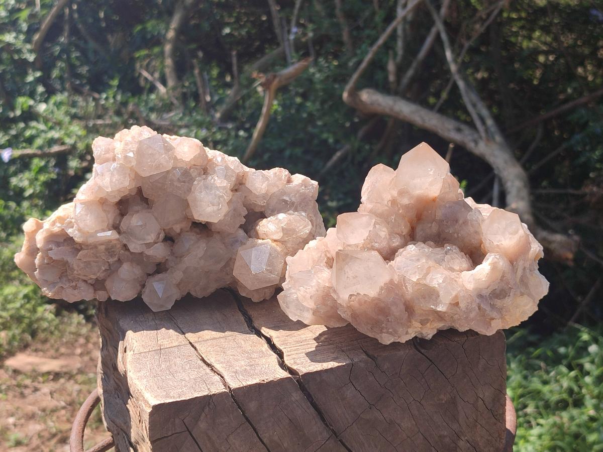Natural Large Cascading White Phantom Pearly Clear Smokey Luena Quartz Clusters x 2 From Luena, Congo - Toprock Gemstones and Minerals 