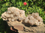 Natural Large Cascading White Phantom Pearly Clear Smokey Luena Quartz Clusters x 2 From Luena, Congo - Toprock Gemstones and Minerals 