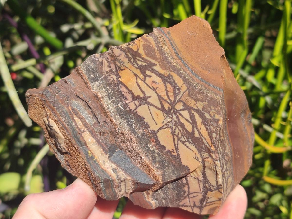 Natural Nguni Jasper Cobbed Specimens x 6 From Northern Cape, South Africa - Toprock Gemstones and Minerals 