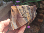 Natural Nguni Jasper Cobbed Specimens x 6 From Northern Cape, South Africa - Toprock Gemstones and Minerals 