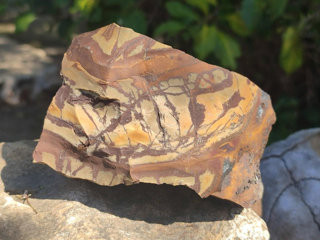 Natural Nguni Jasper Cobbed Specimens x 6 From Northern Cape, South Africa - Toprock Gemstones and Minerals 