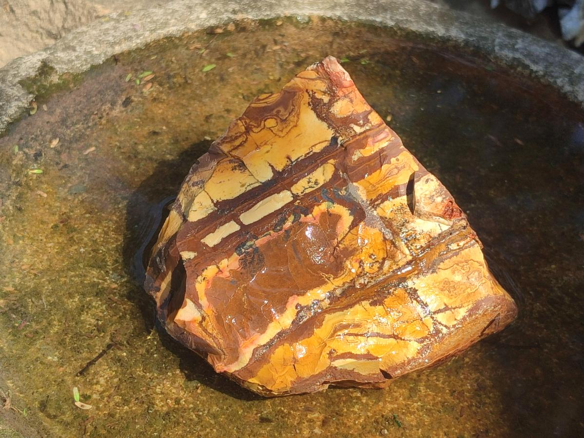 Natural Nguni Jasper Cobbed Specimens x 6 From Northern Cape, South Africa - Toprock Gemstones and Minerals 