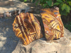 Natural Nguni Jasper Cobbed Specimens x 6 From Northern Cape, South Africa - Toprock Gemstones and Minerals 