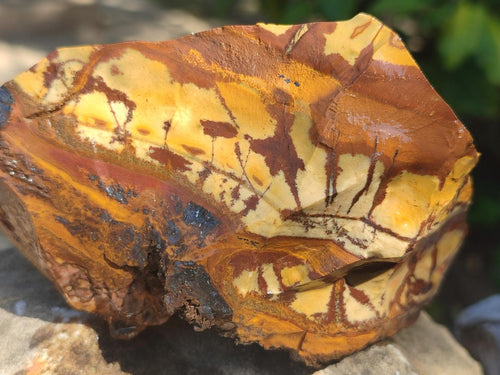 Natural Nguni Jasper Cobbed Specimens x 6 From Northern Cape, South Africa - Toprock Gemstones and Minerals 