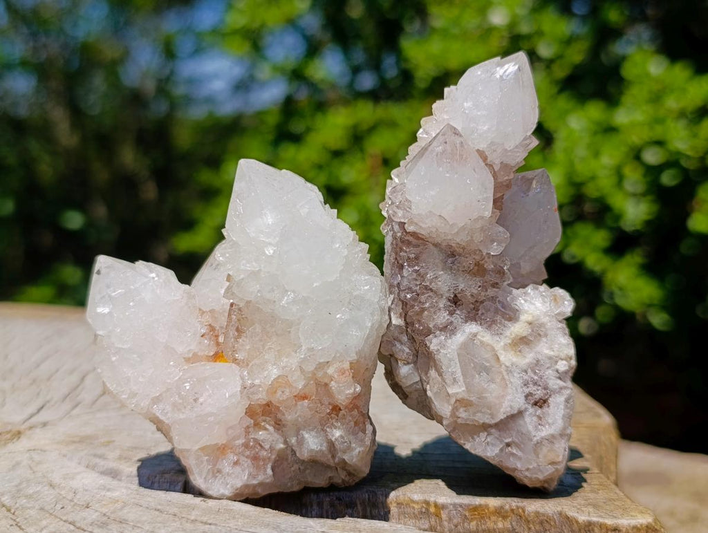 Natural Spirit Quartz Clusters x 12 From Boekenhouthoek, South Africa - Toprock Gemstones and Minerals 