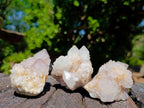 Natural Spirit Quartz Clusters x 12 From Boekenhouthoek, South Africa - Toprock Gemstones and Minerals 