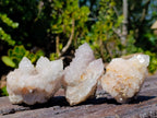 Natural Spirit Quartz Clusters x 12 From Boekenhouthoek, South Africa - Toprock Gemstones and Minerals 