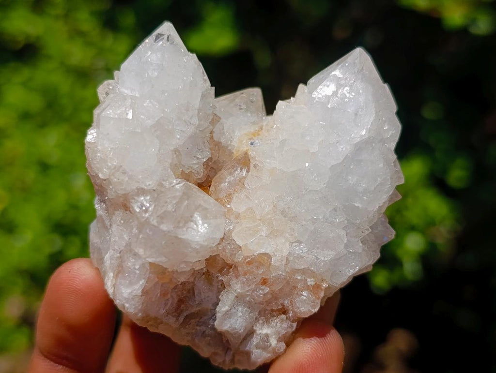 Natural Spirit Quartz Clusters x 12 From Boekenhouthoek, South Africa - Toprock Gemstones and Minerals 