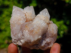 Natural Spirit Quartz Clusters x 12 From Boekenhouthoek, South Africa - Toprock Gemstones and Minerals 