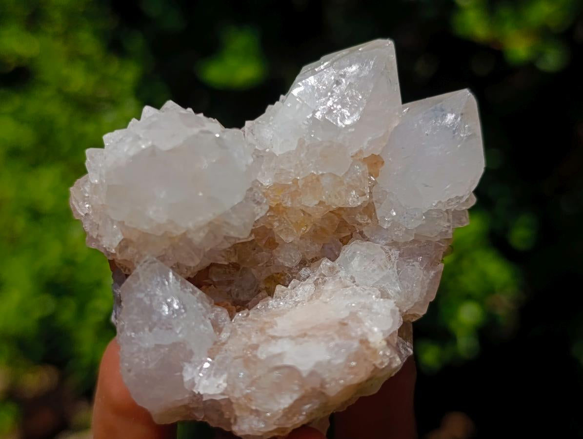 Natural Spirit Quartz Clusters x 12 From Boekenhouthoek, South Africa - Toprock Gemstones and Minerals 