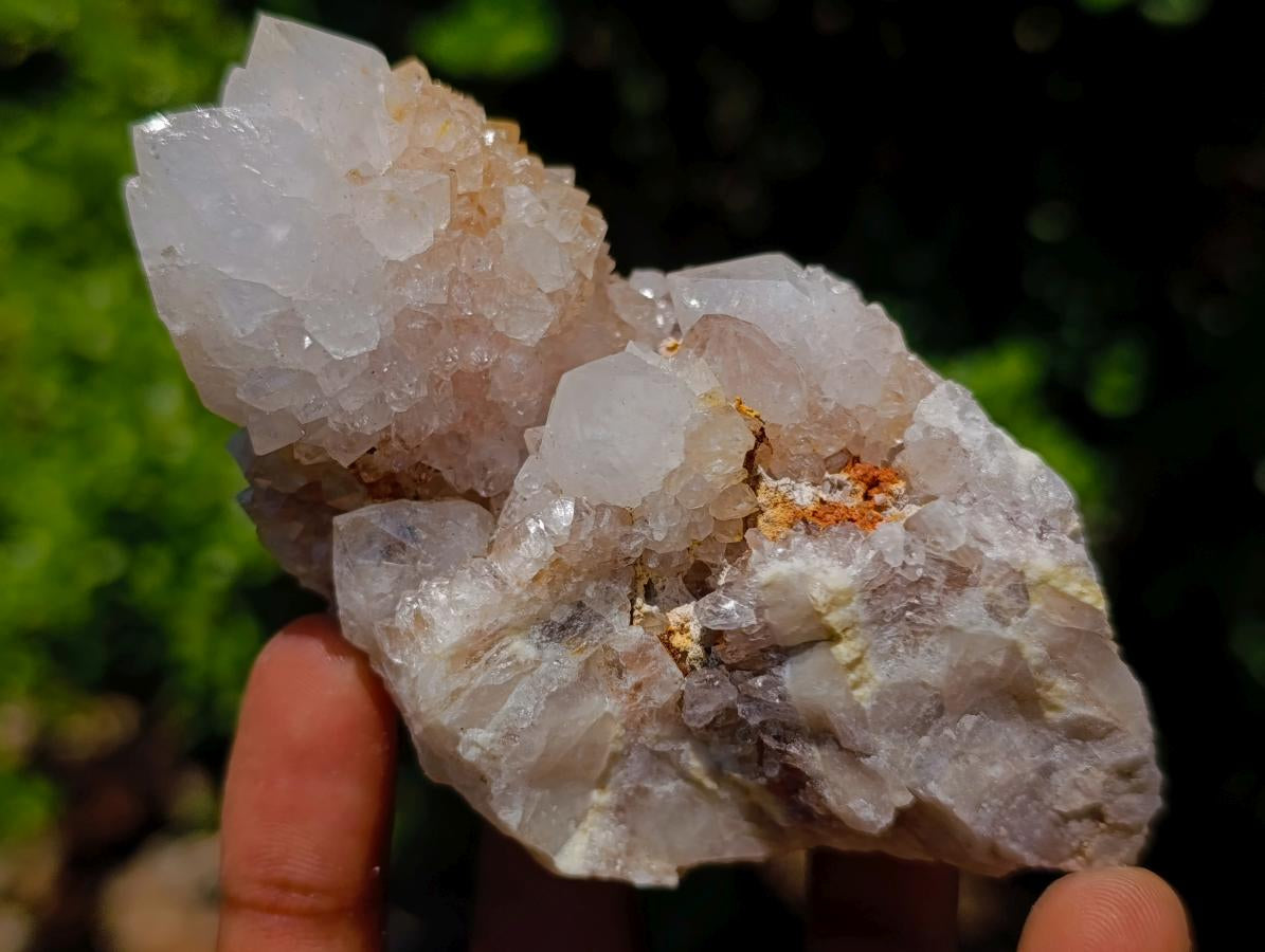 Natural Spirit Quartz Clusters x 12 From Boekenhouthoek, South Africa - Toprock Gemstones and Minerals 