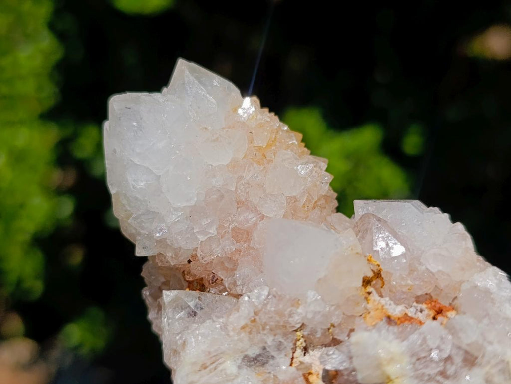 Natural Spirit Quartz Clusters x 12 From Boekenhouthoek, South Africa - Toprock Gemstones and Minerals 