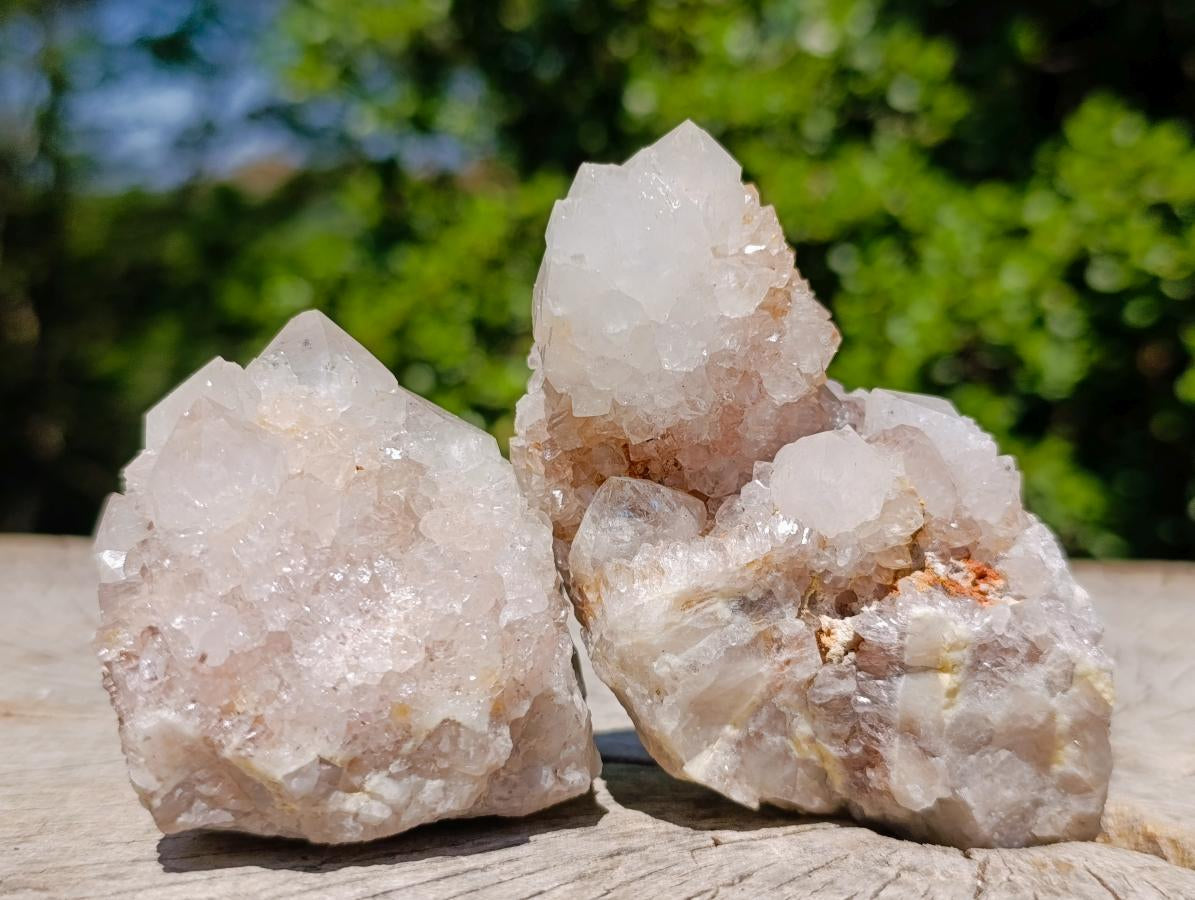 Natural Spirit Quartz Clusters x 12 From Boekenhouthoek, South Africa - Toprock Gemstones and Minerals 