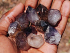 Natural Smokey Window Amethyst Crystals x 35 From Chiredzi, Zimbabwe - Toprock Gemstones and Minerals 