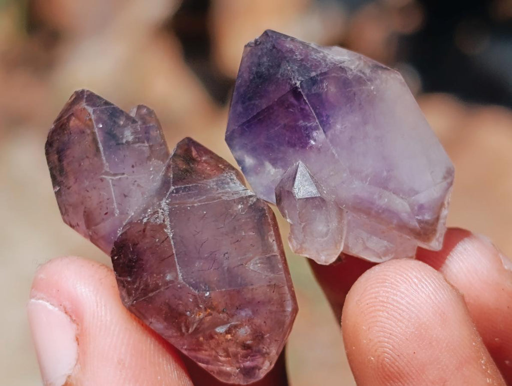 Natural Smokey Window Amethyst Crystals x 35 From Chiredzi, Zimbabwe - Toprock Gemstones and Minerals 