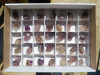 Natural Smokey Window Amethyst Crystals x 35 From Chiredzi, Zimbabwe - Toprock Gemstones and Minerals 