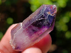 Natural Smokey Window Amethyst Crystals x 35 From Chiredzi, Zimbabwe - Toprock Gemstones and Minerals 