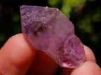 Natural Smokey Window Amethyst Crystals x 35 From Chiredzi, Zimbabwe - Toprock Gemstones and Minerals 
