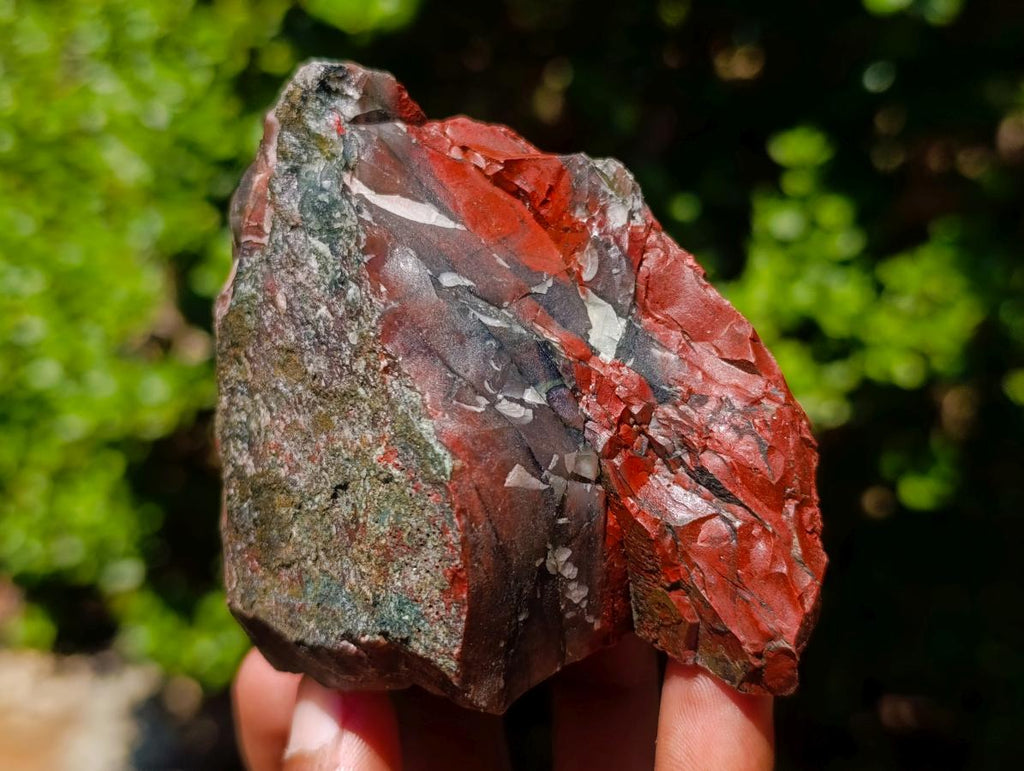 Natural Cobbed Bloodstone Specimens x 6 From Swaziland - Toprock Gemstones and Minerals 