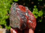 Natural Cobbed Bloodstone Specimens x 6 From Swaziland - Toprock Gemstones and Minerals 