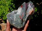Natural Cobbed Bloodstone Specimens x 6 From Swaziland - Toprock Gemstones and Minerals 
